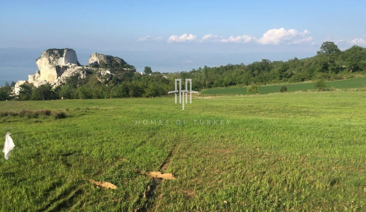 Land For Sale With High Investment Potential With Lake View In Turkey- 1