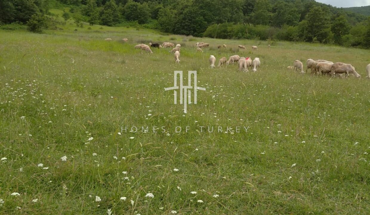 Land For Sale With High Investment Potential With Lake View In Turkey- 4